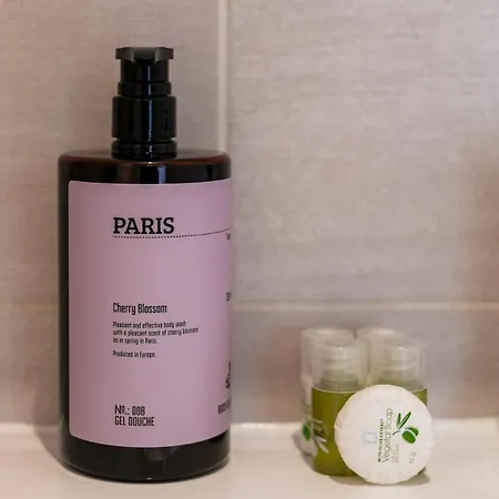 Cocon Moderne Aux Portes De Paris 4 Personnes